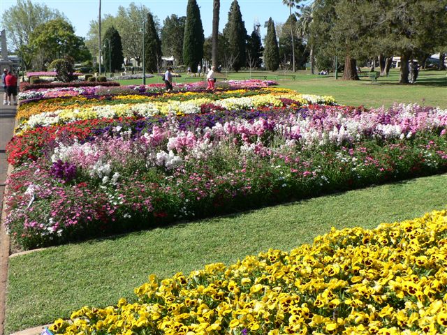 Truth and Beauty - Toowoomba Flower Festival